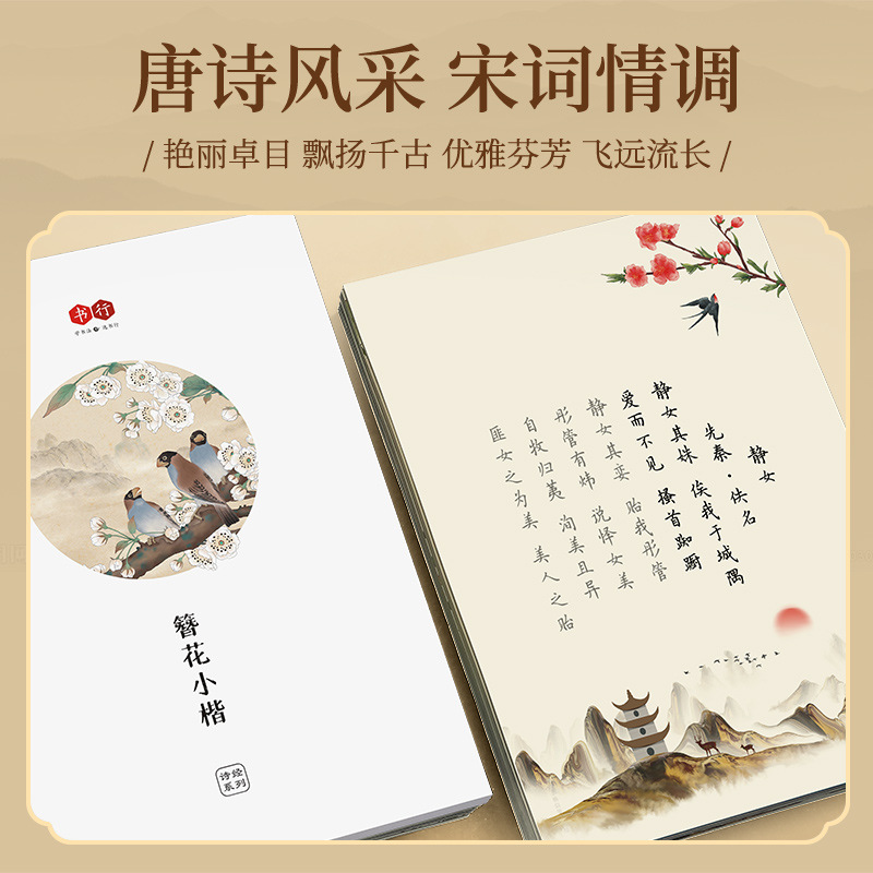 헤어핀 플라워 작은 카이 서예 연습장, 시편(서예) 연 - Chinese Calligraphy Practice Book 리뷰 및 가격